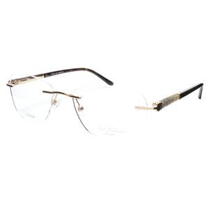 Paul Vosheront Eyeglasses Frame PV504 C02